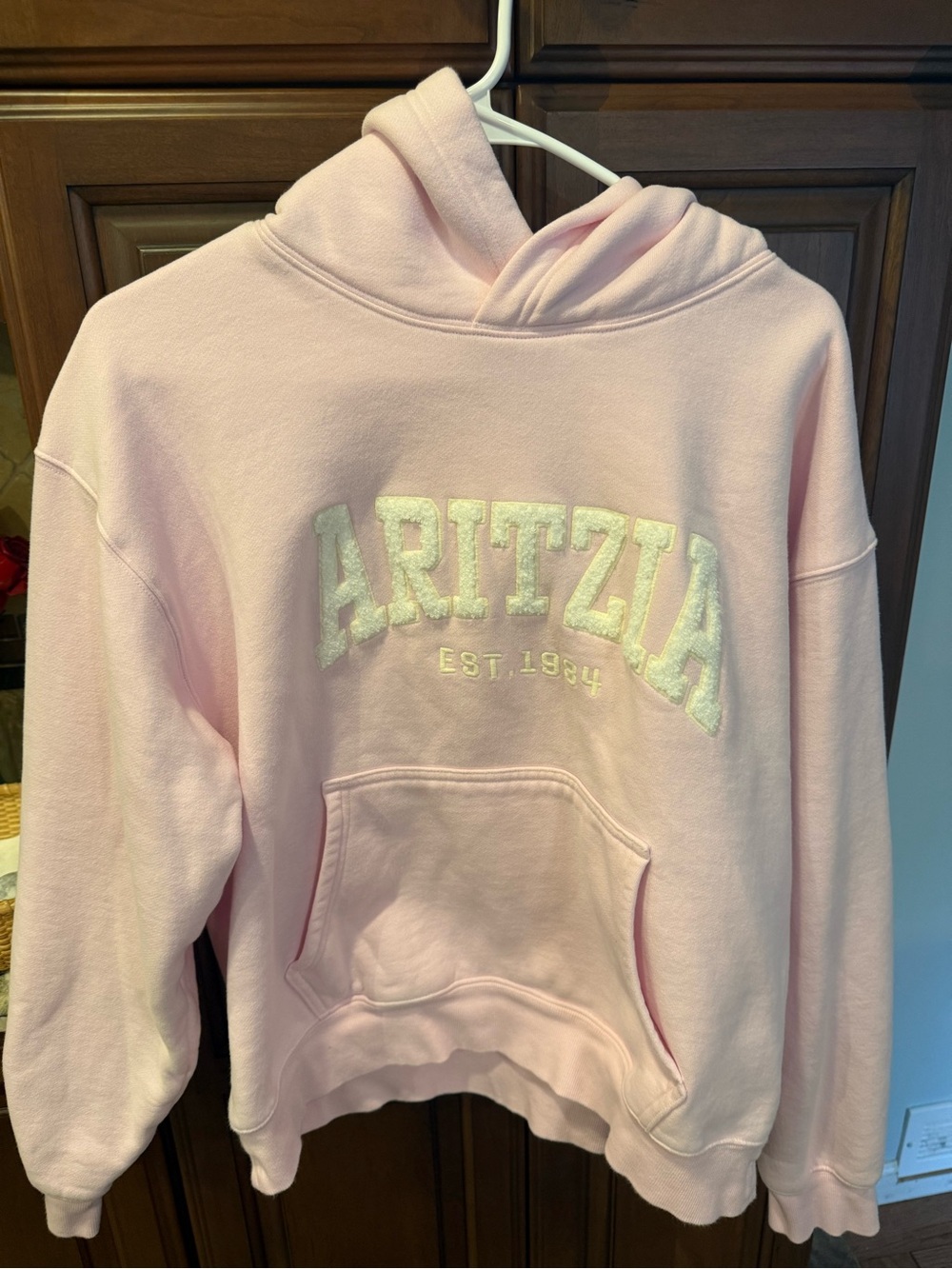 Aritzia Light Pink Chenille Logo Hoodie